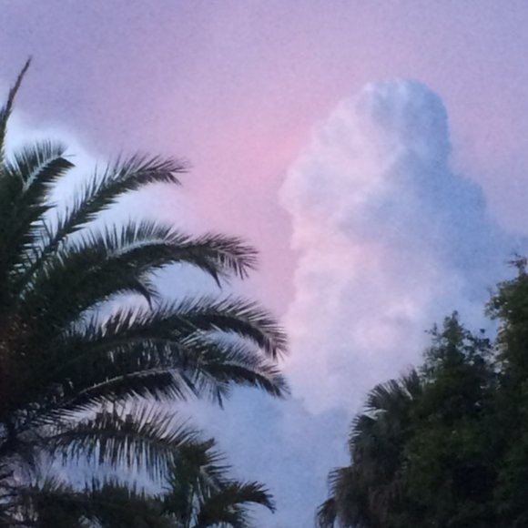 Meet your Posher, Maria - Picture 1 of 1